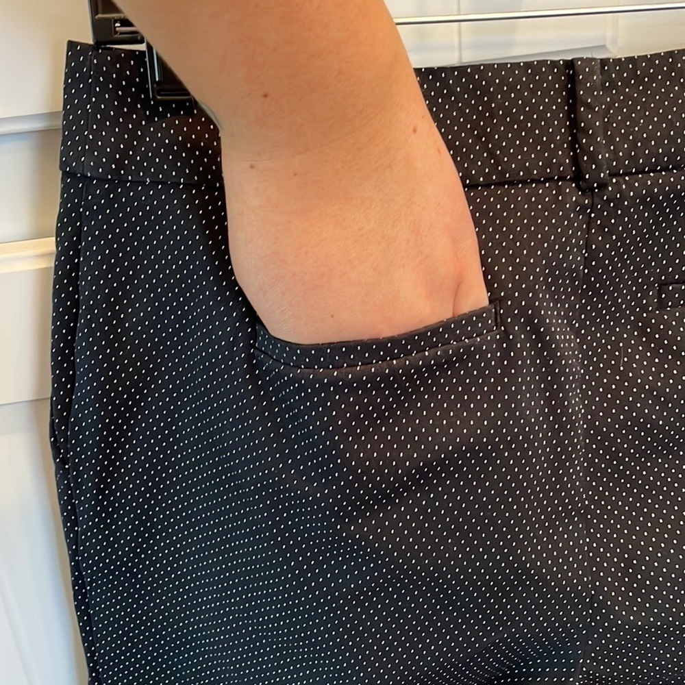 Talbots Hampshire Ankle Polka Dot Pants Woman's Size 2 - Picture 15 of 17